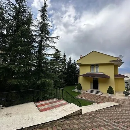 Amesia * Amásia